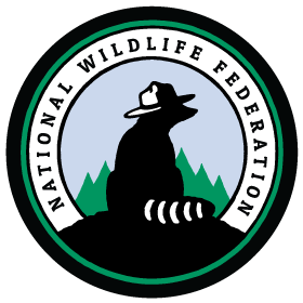 National Wildlife Federation Bear Logo Design